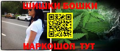 стаф Пенза