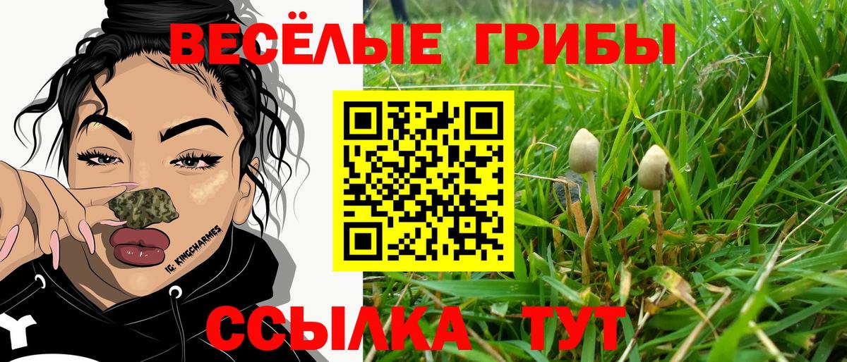 наркошоп  Псилоцибиновые грибы Psilocybe  Вход с VPN  Ханты-Мансийск  Галлюциногенные грибы мицелий 
