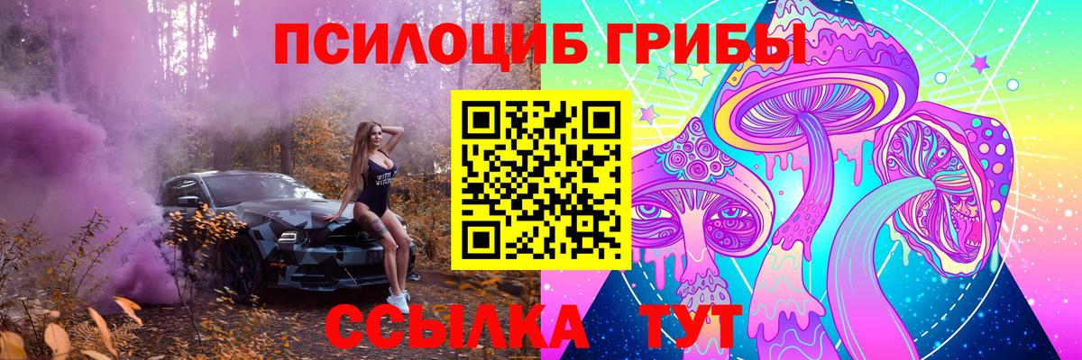 Псилоцибиновые грибы Cubensis Ханты-Мансийск